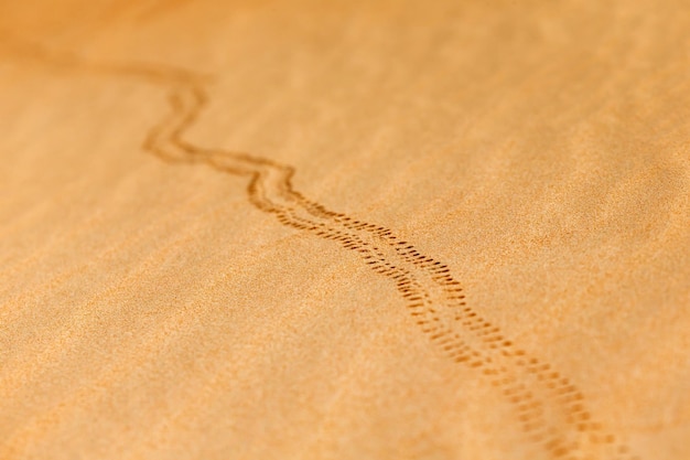 Cusături fine pe in natural